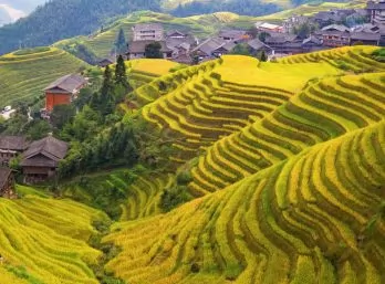 Paquete - CHINA & HONG KONG  -  Salida Grupal (D&R)