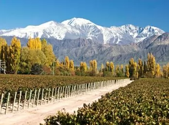 Paquete - MENDOZA (G8)