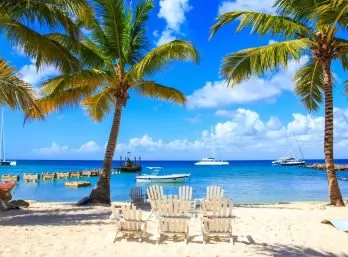 Paquete - PUNTA CANA  -  Republica Dominicana  (TKT)
