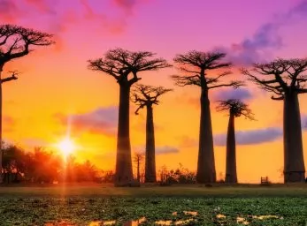 Paquete - AFRICA Otro Concepto  -  Salida Grupal Acompañada (D&R)