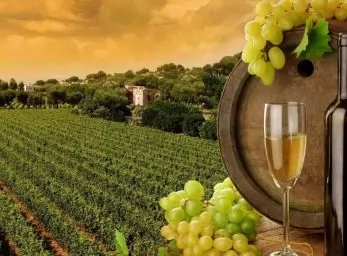 Paquete - SAN JUAN BAJO LAS ESTRELLAS CON RUTA DEL VINO Y PARQUE NAC. LAS QUIJADAS  -  Circuito  -  Grupal A/C