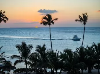 Paquete - BAYAHIBE (Republica Dominicana) (P)