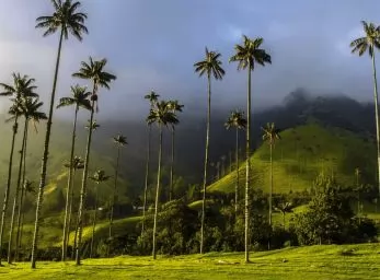 Paquete - COLOMBIA Otro Concepto  -  Salida Grupal A/C (D&R)
