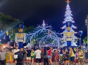 Paquete - CAMBORIU  X Ruta 226 -  NAVIDAD (Z)