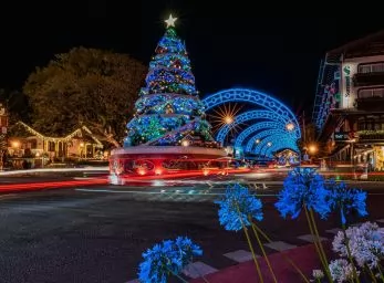 Paquete - CAMBORIU  ** NAVIDAD **  (CE)