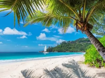 Paquete - MONTEGO BAY  -  Temporada Baja (P)