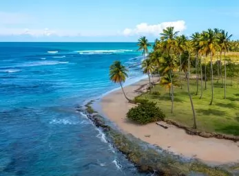 Paquete - MICHES & PUNTA CANA  (P)