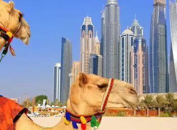 Paquete - INDIA Y DUBAI  -  Salida Grupal A/C  (Babel)