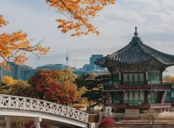 Paquete - JAPON & COREA con Estilo  -  Salida Grupal (Estilo Plus)