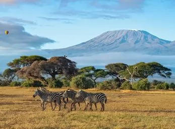 Paquete - KENIA Y TANZANIA  -  Salida Grupal A/C  (Midas)