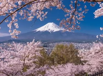 Paquete - COREA & JAPON  