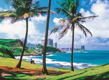 Paquete - PRAIA DO FORTE (TKT)