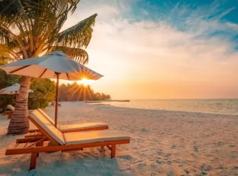 Paquete - PUNTA CANA (Republica Dominicana)  (G8)