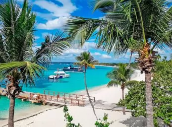 Paquete - BAYAHIBE  -  Republica Dominicana  (TKT)