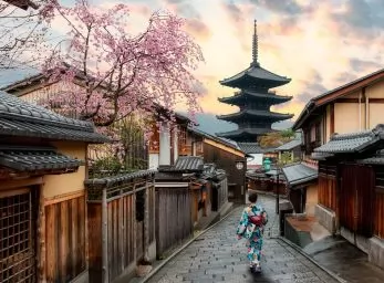 Paquete - JAPON  -  Circuito (C)