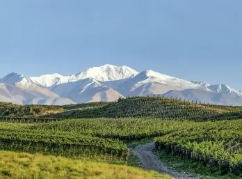 Paquete - MENDOZA (CE)