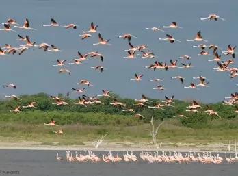 Paquete - VALLES Y SABORES CORDOBESES con Ansenuza (W)