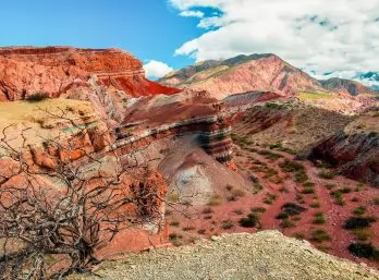 Paquete - SALTA  -  Grupal con aereo (Modo)